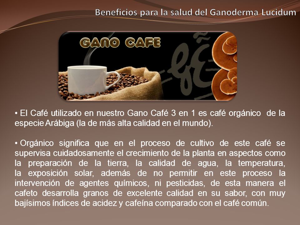 El cafe organico sirve para bajar de peso